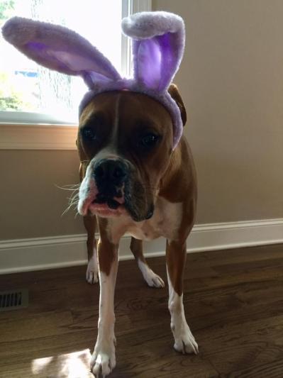 Easter Bennie
