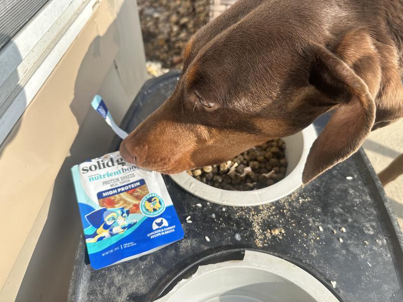 Dobie love it and ate all of her food