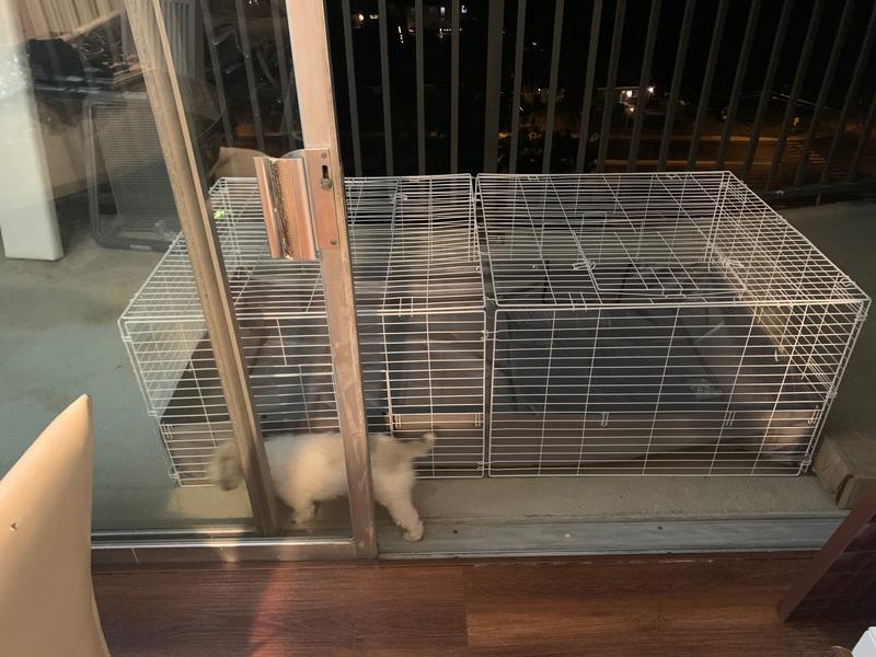 one pet access door is near where the dog is (you can keep open or close the doors)