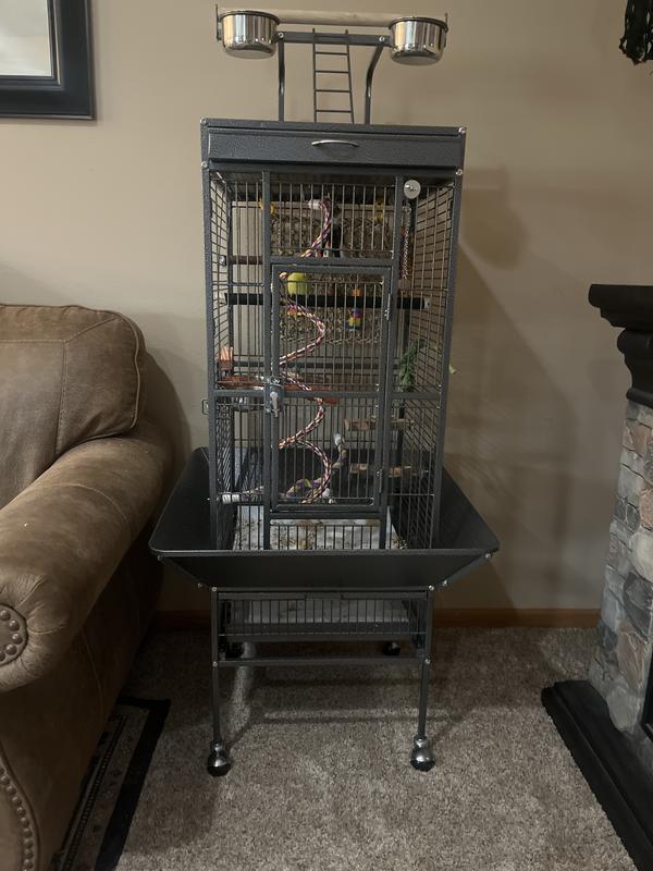 Love this Bird Cage!