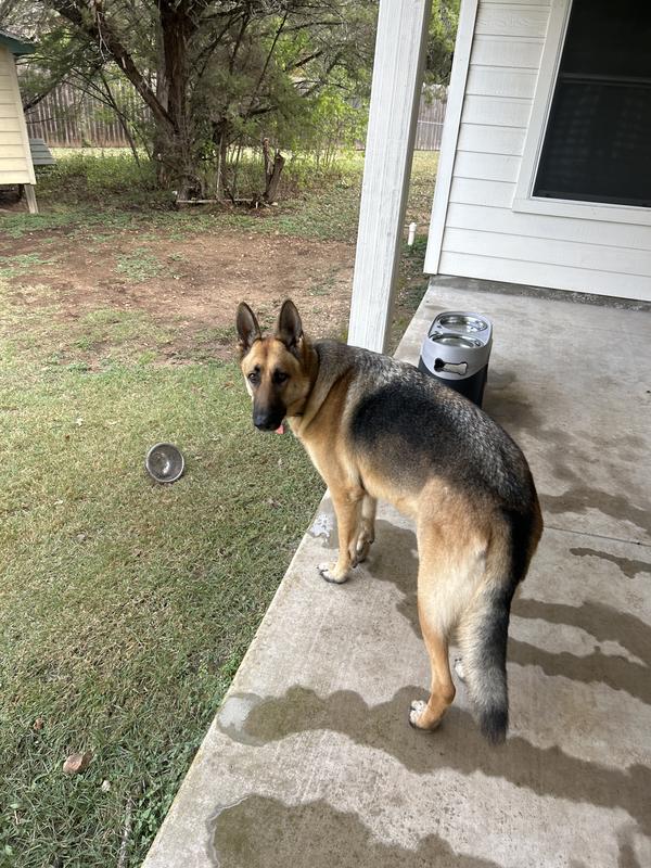 Harley is thankful as well😊🙏