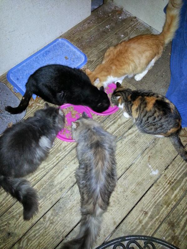 When they were young