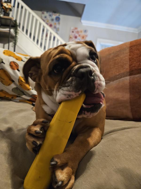 Perfect size for her to hold with her little feet