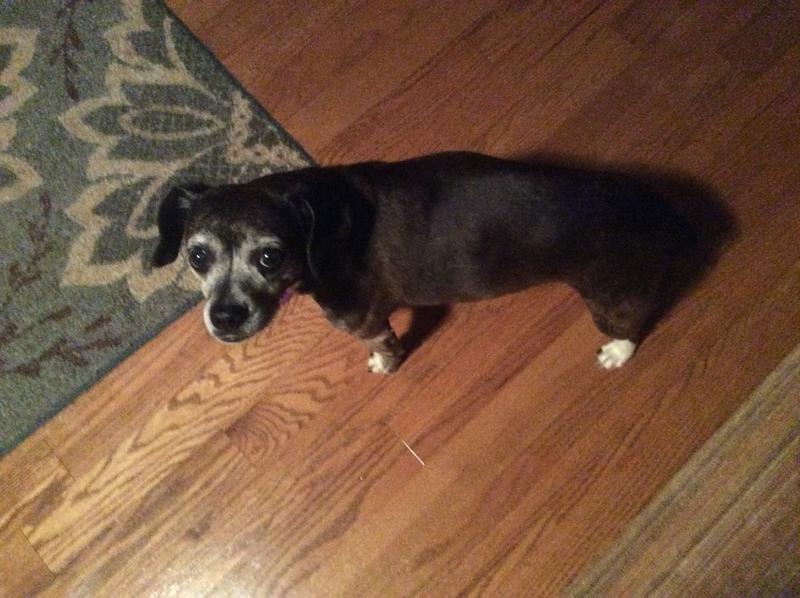 Little miss Heidi. 18 years old