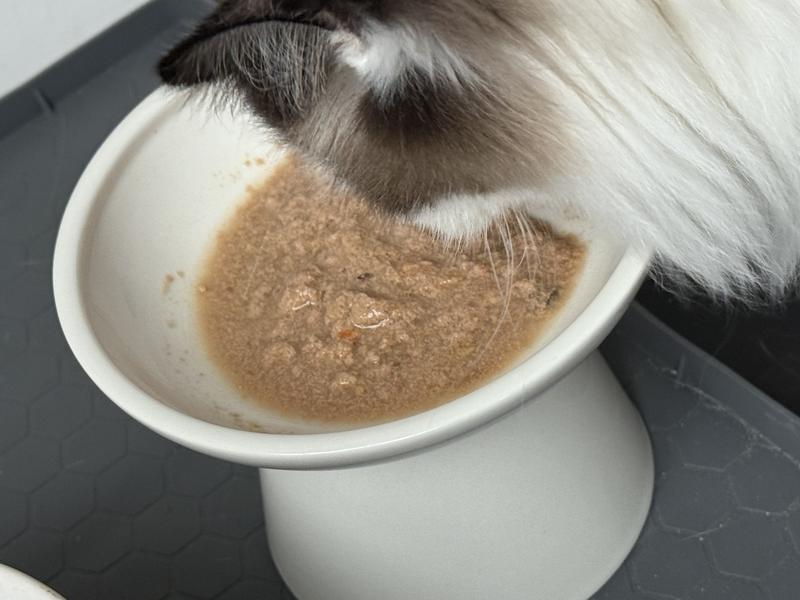 Our picky eater at work on the broth-added pate