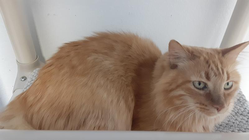 Theresa after a happy meal