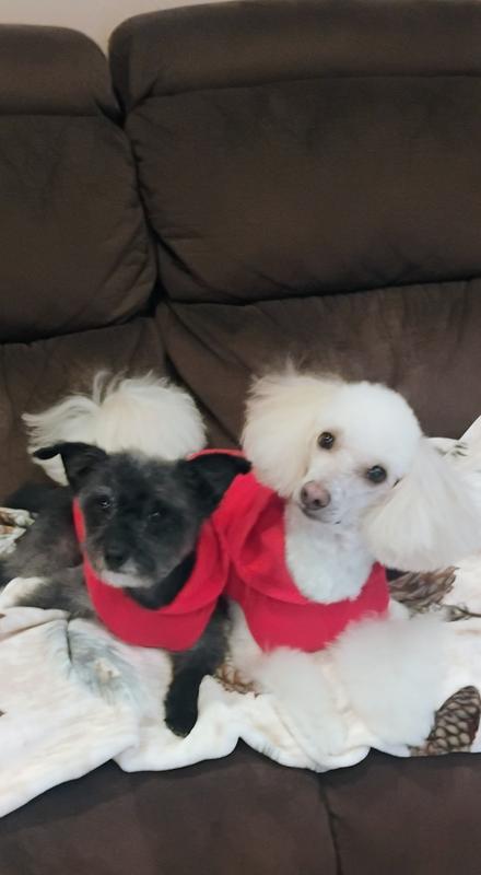 Very content in their new shirts!