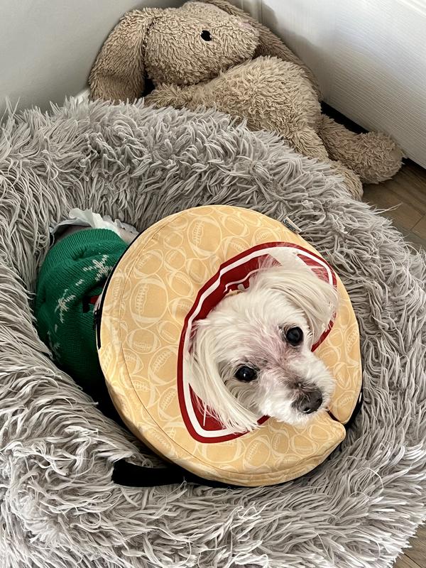 Doughnut is much better than cone!