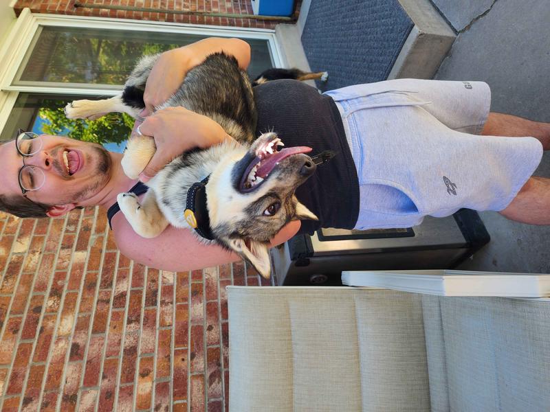 PATPET P680 Lightweight Remote Dog Training Collar, 1 count, Sky Blue