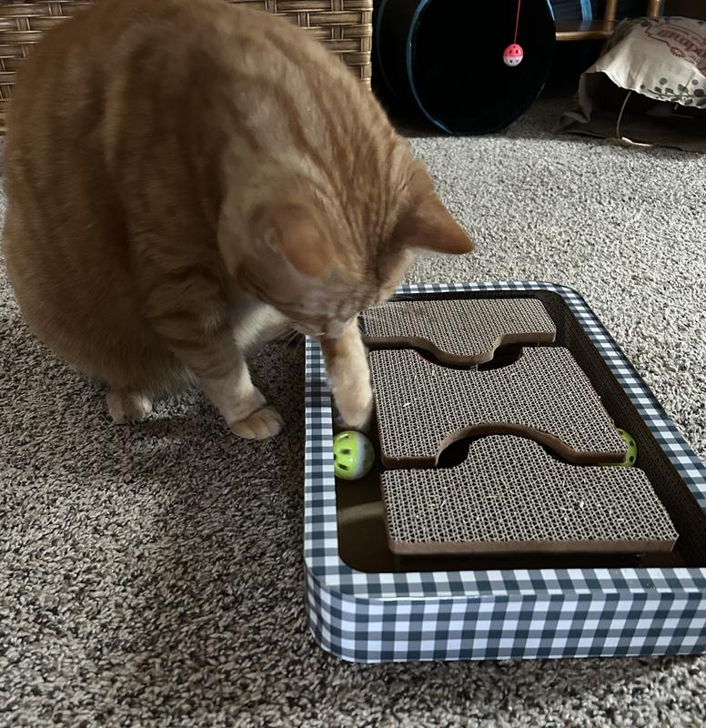 He loves playing with the balls in the maze.