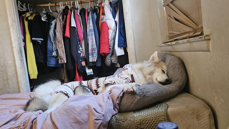 Frisco Fairisle Cozy Plush Fleece Dog & Cat PJs, Cream