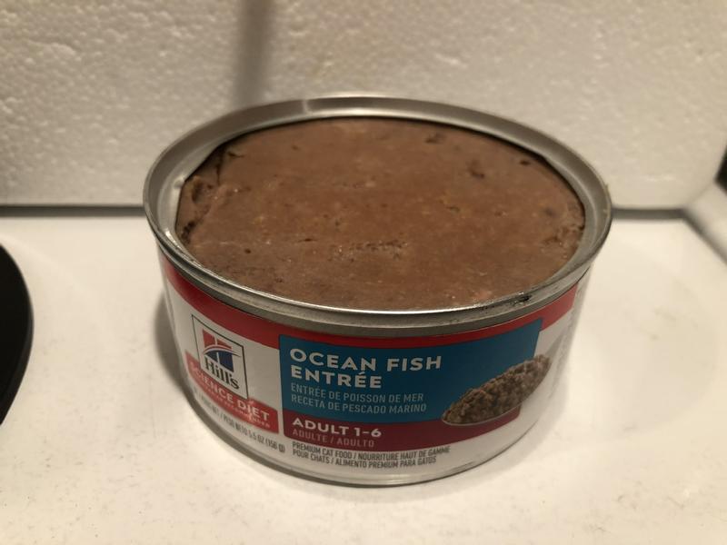 Authority Ocean Fish Entree Adult Pate Canned Cat Food