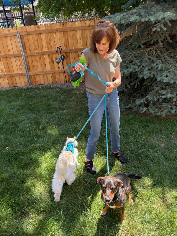 Dog and Cat Walking