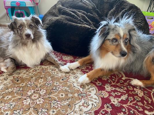 Messer and Pepper