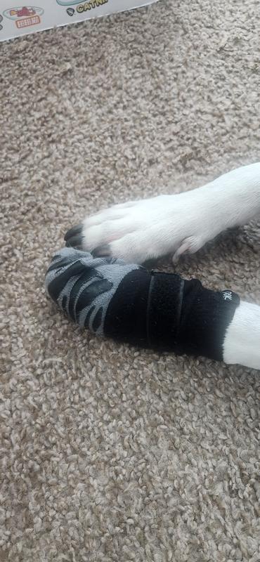 She's been wearing this one most of the day :)