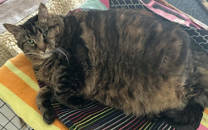 One of the three who thoroughly enjoyed the new food.