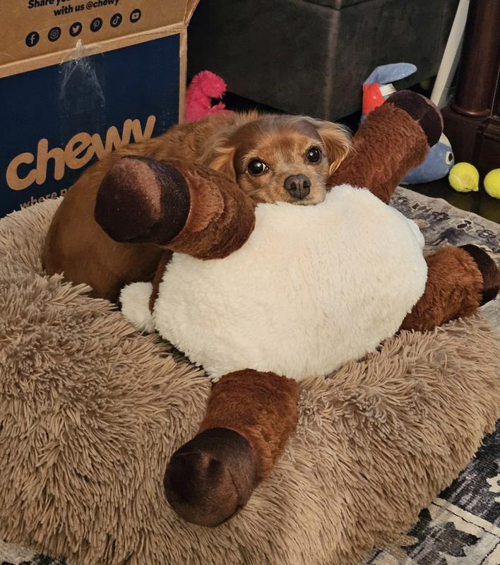 Falling asleep on her favorite toy