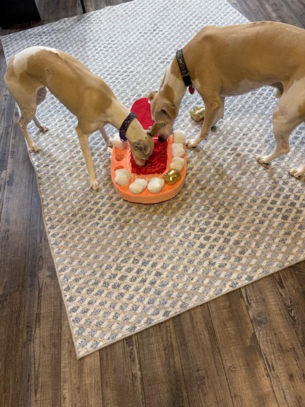 Older or young both loved this toy