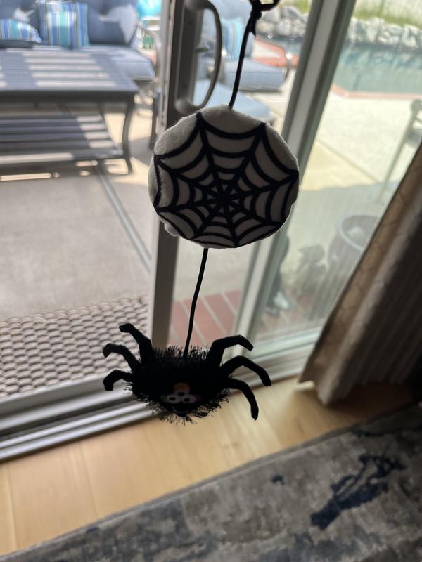Web and Spider, my cats love these two