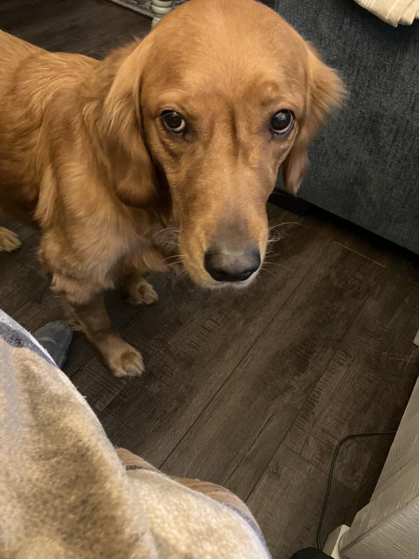 Just woke up from a nap!😴