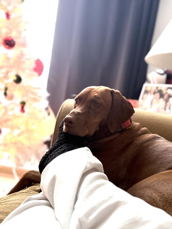 I wonder what Mom and Dad got us for Christmas?