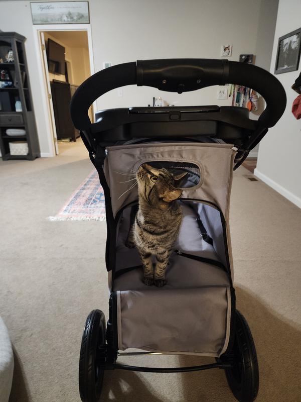 She loves it!