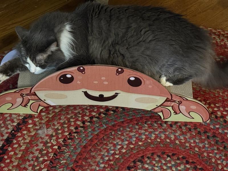 someone is waiting their turn for their roommate to get done, and someone else, who just wanted a snooze