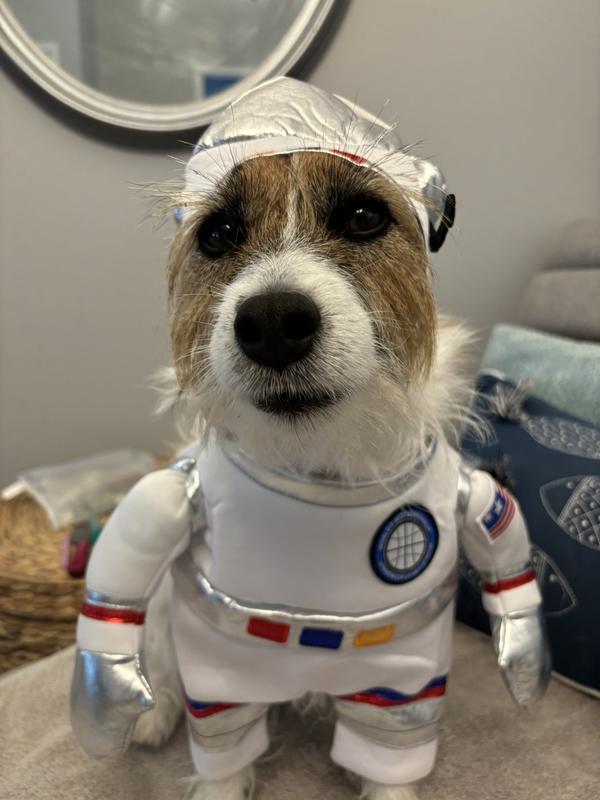 Ready for blast off!