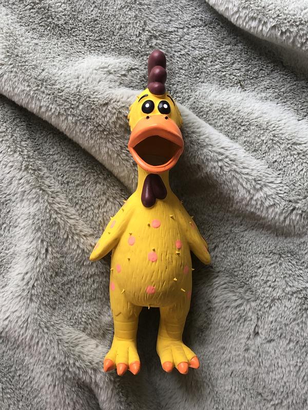 Globken chicken dog outlet toy