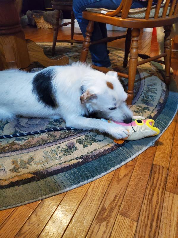 He was a beautiful toy, and gave his life for Jake's enjoyment.