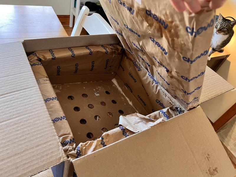 The insulated shipping box kept the food perfectly frozen. One of our cats was eagerly awaiting his new box to play in.