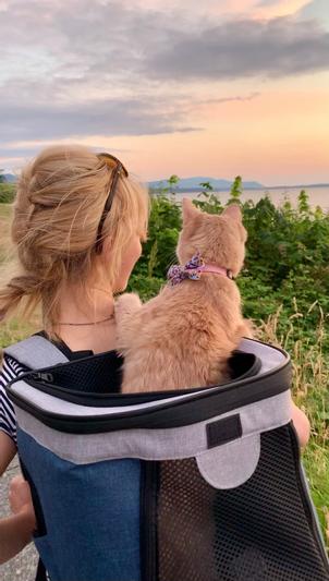 JESPET Dog Cat Carrier Backpack, Smoke Grey, 17-in