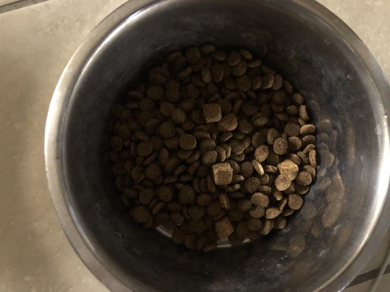 Kibbles and freeze dried chunks