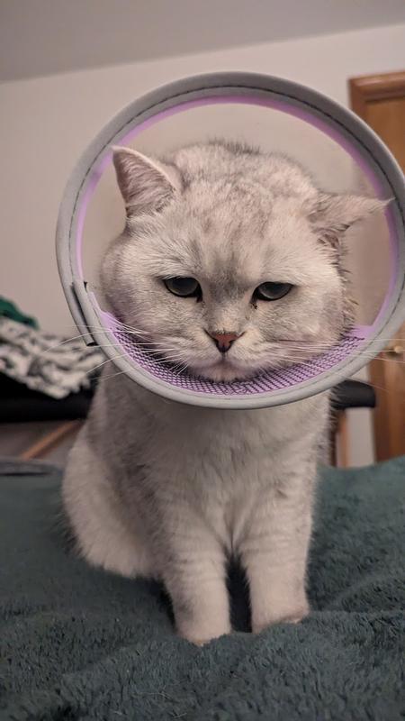 Buffering… please wait while I process this betrayal.