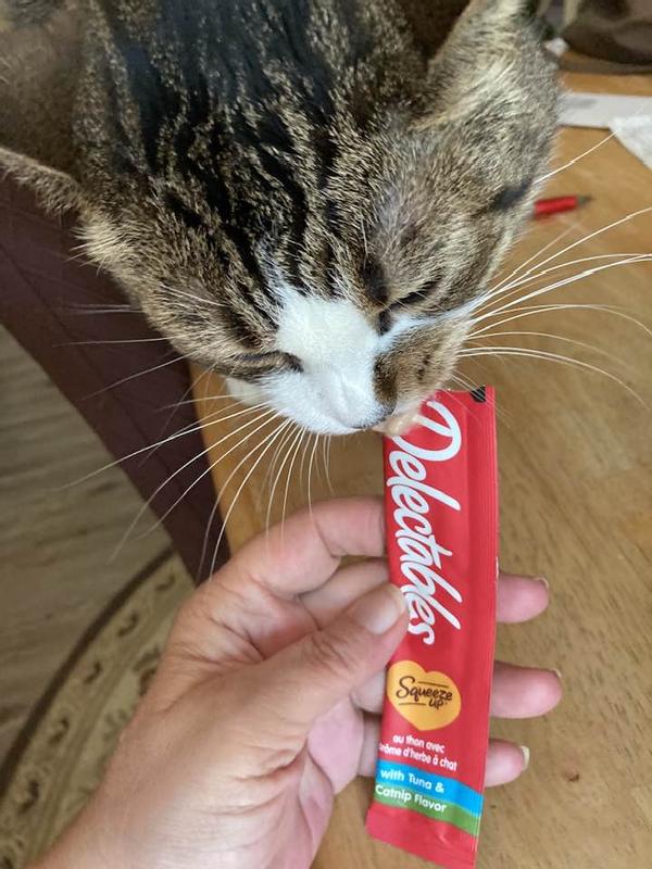 Hartz Delectables Squeeze Up Tuna with Catnip Flavored Grain-Free Lickable Cat Treats