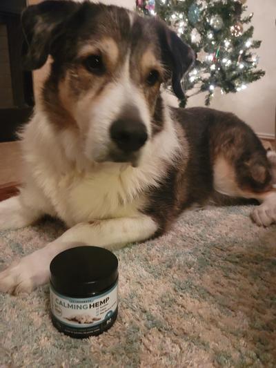 Jackson and Chews