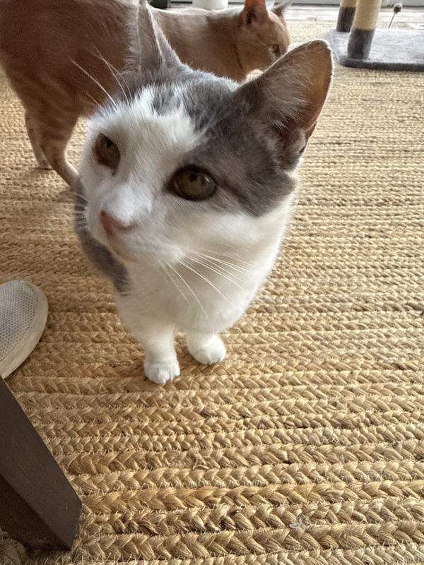 Kevin. Nacho in the back.