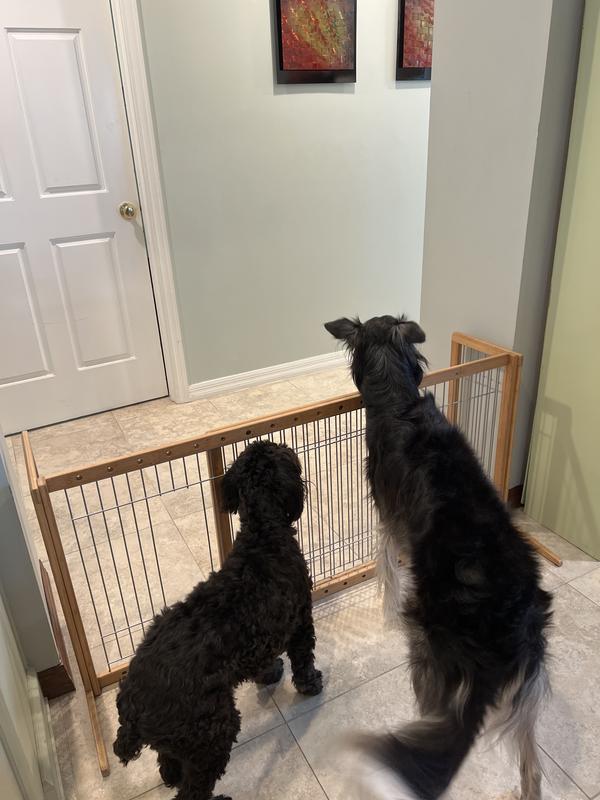 Keeps in dogs, let’s put cats