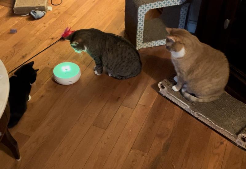 PETFUSION Ambush Interactive Electronic Cat Toy