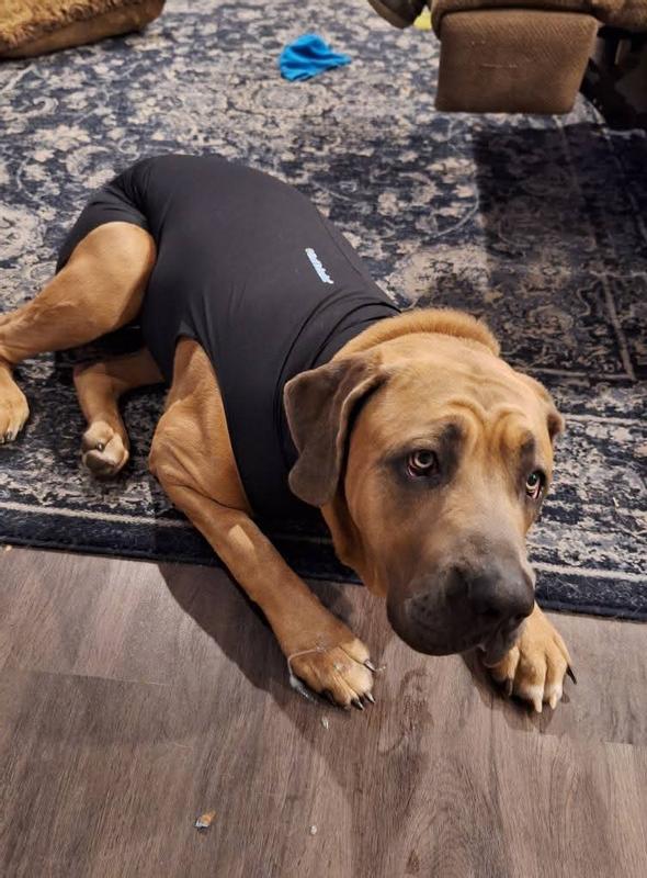 Sympathy for a cookie