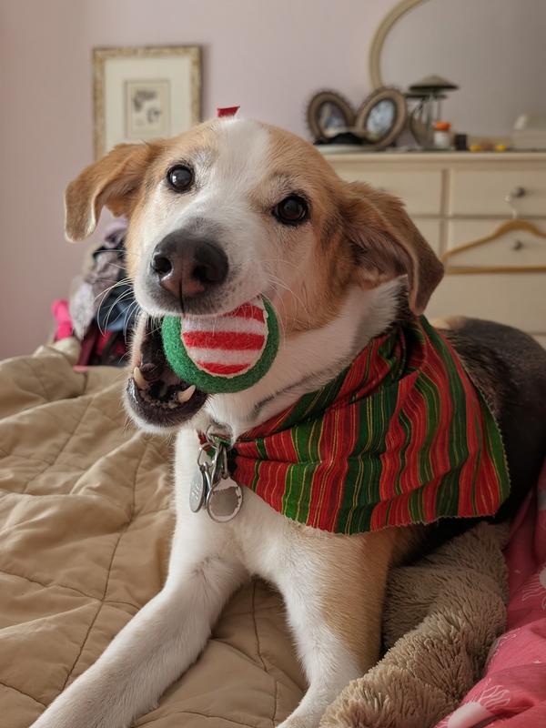 Willow Joy living her best life❣️