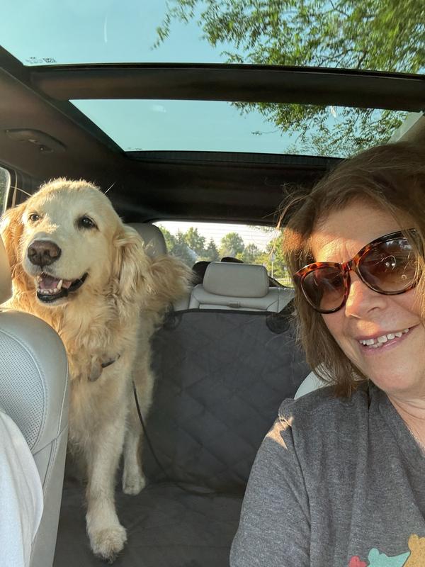 Happy Traveller!