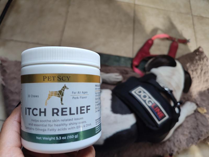 Itch pet clearance flea treatment reviews