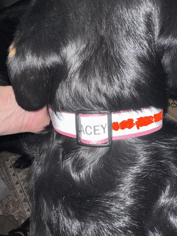 Personalization is covered by buckle