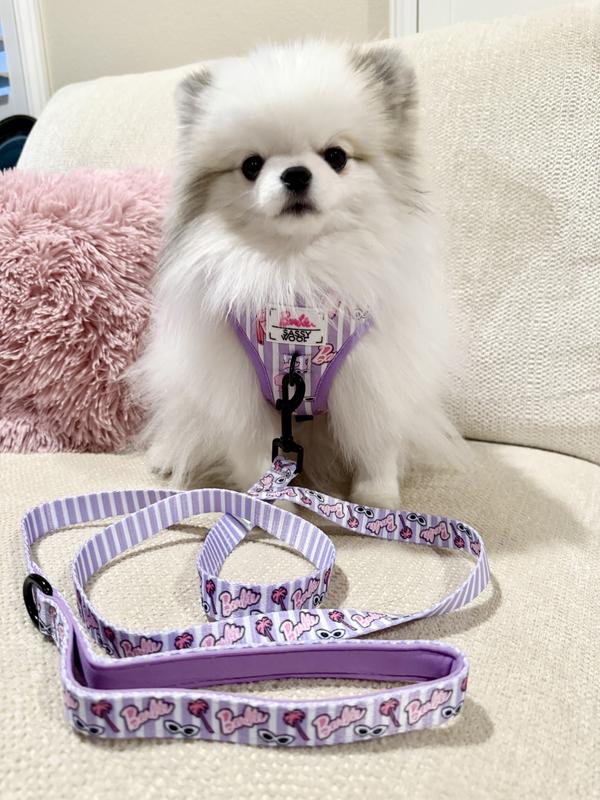 Luna is 5.5lbs and wears a size Small