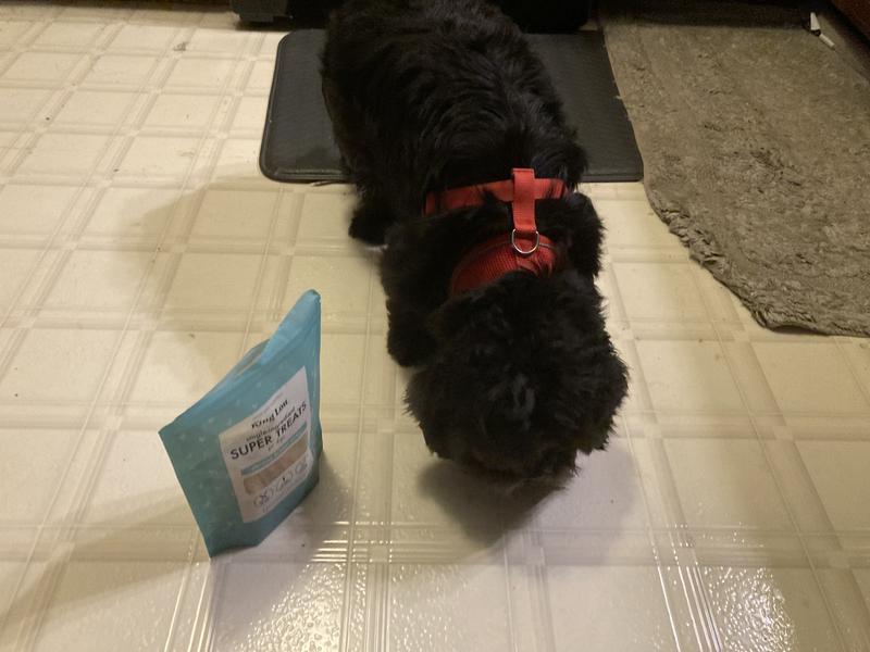 Product,😆 investigating the new tantilizing treat!  👏Satisfied & gobbled up😋