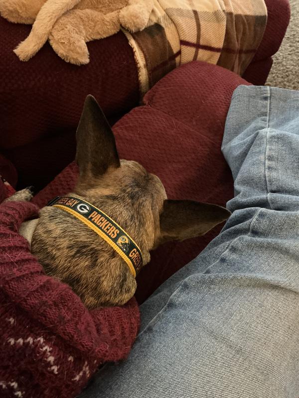 Odie looks great. He’s my Boo Boo Bear. 🐻🩷 I’m sure Alice loves it. 😇