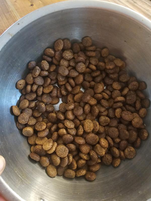 food in bowl