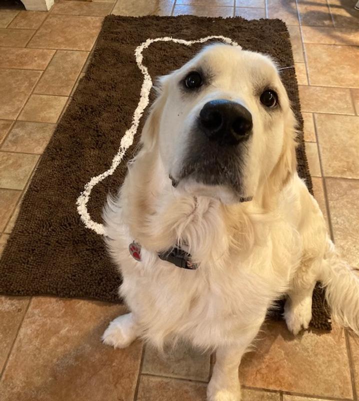 Soggy Doggy Doormat Beige Large