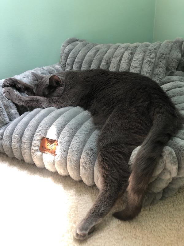 Grams looks HUGE on this couch!